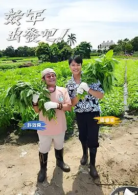 66影视美食综艺味道的边界
