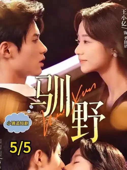 66影视热播悬疑剧暗涌之城